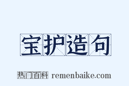 宝护造句是什么意思的图片